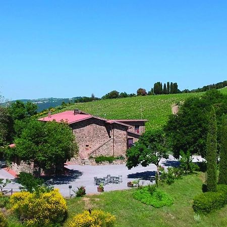 Castelnuovo dellʼAbate La Poderina Appartamenti מראה חיצוני תמונה